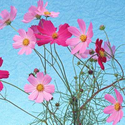 清远房产信息网